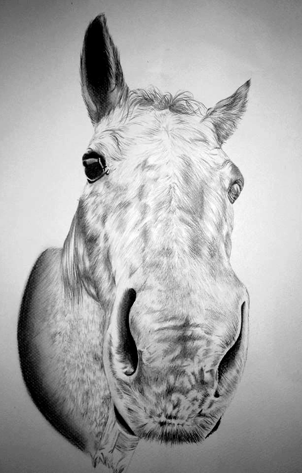 Chevaux murmures d urantia
