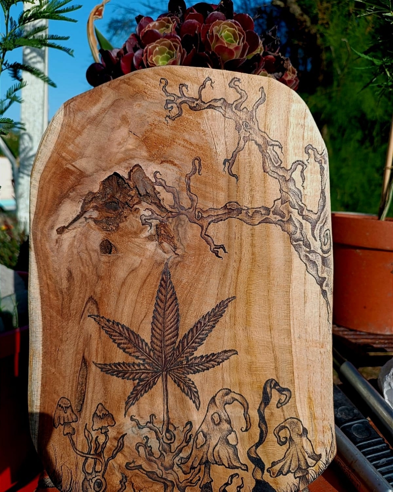 Plateau feuille canna